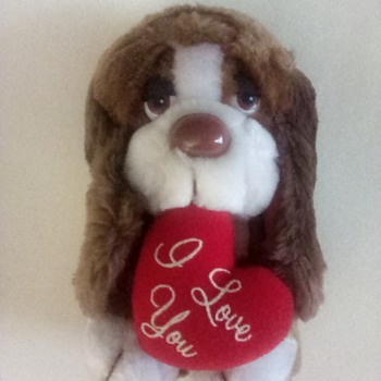 Cuddles the basset hound - Animals
