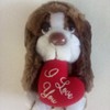 Cuddles the basset hound