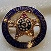 Hawaiian Telephone Service Pin