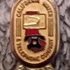California Water & Telephone Company Pin