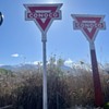CONONCO GASOLINE