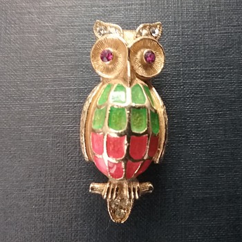 Florenza owl  - Animals