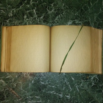 The Bible In Braille...... - Books