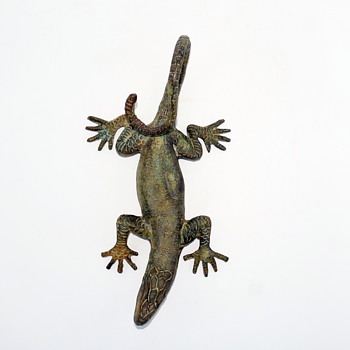 Bronze Northern Curly Tail Lizard