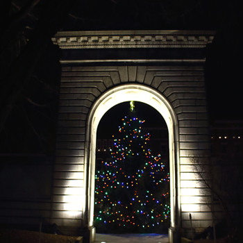 Its that time of year.... - Photographs