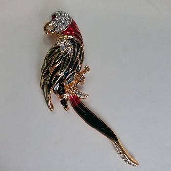 Jennifer Moore parrot  - Animals