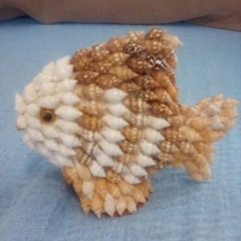 Vintage sea shell fish