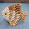 Vintage sea shell fish