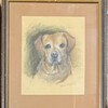 Nice Vintage Charcoal Drawing of a Dog Artwork is Signed Marion Rockefeller??