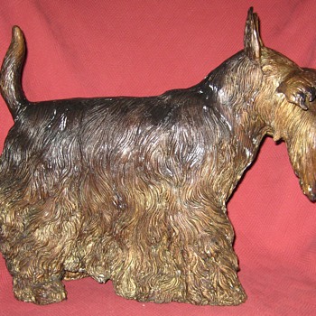 Bronze Scottish (Scottie) Terrier - Animals