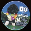 Bo Top Dog Obama 2012 Pin Set