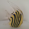 Vinci for Dynasty Gallery Glass angelfish 