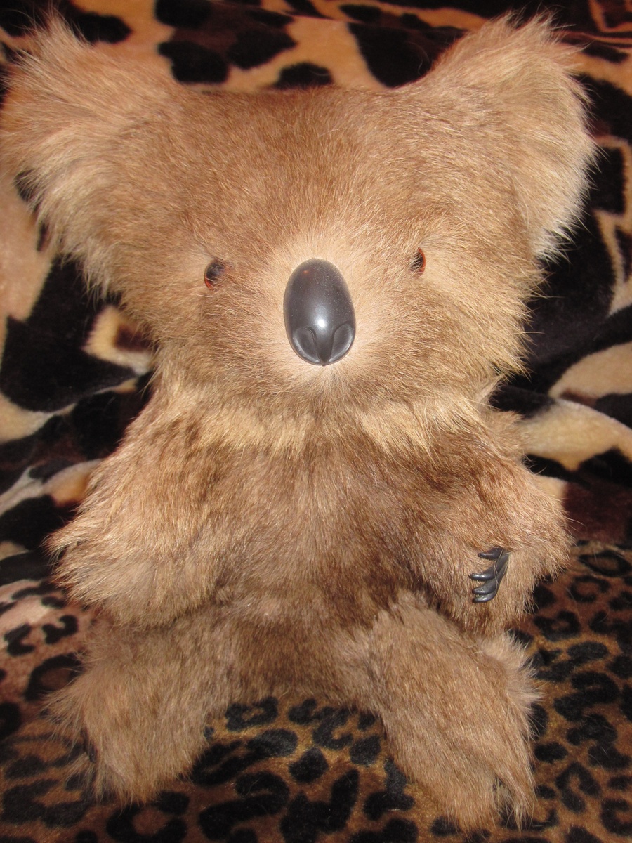 Vintage Koala Bear Real Kangaroo Fur Collectors Weekly