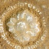 Metal Detecting