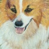 "Wesley" the Corgi by Cora Larson Pastel