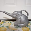 Elephant watering can