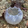 Bohemian Art Nouveau mauve iridescent glass rose bowl with brass flower holder
