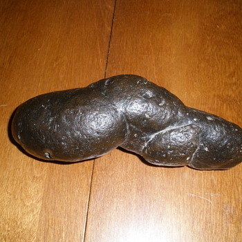  coprolite fossil (dino poop) - Animals