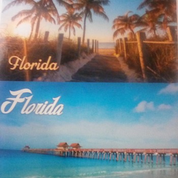 Florida postcards & keychain - Postcards