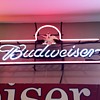 Budweiser neon