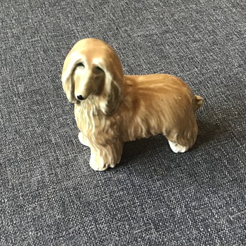 Afghan Hound  - Animals