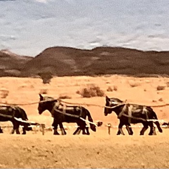DEATH VALLEY DAYS - Advertising