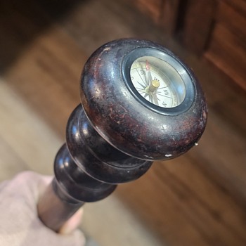 Another Walking Stick 