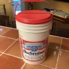 Budweiser cooler