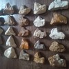 Recent finds