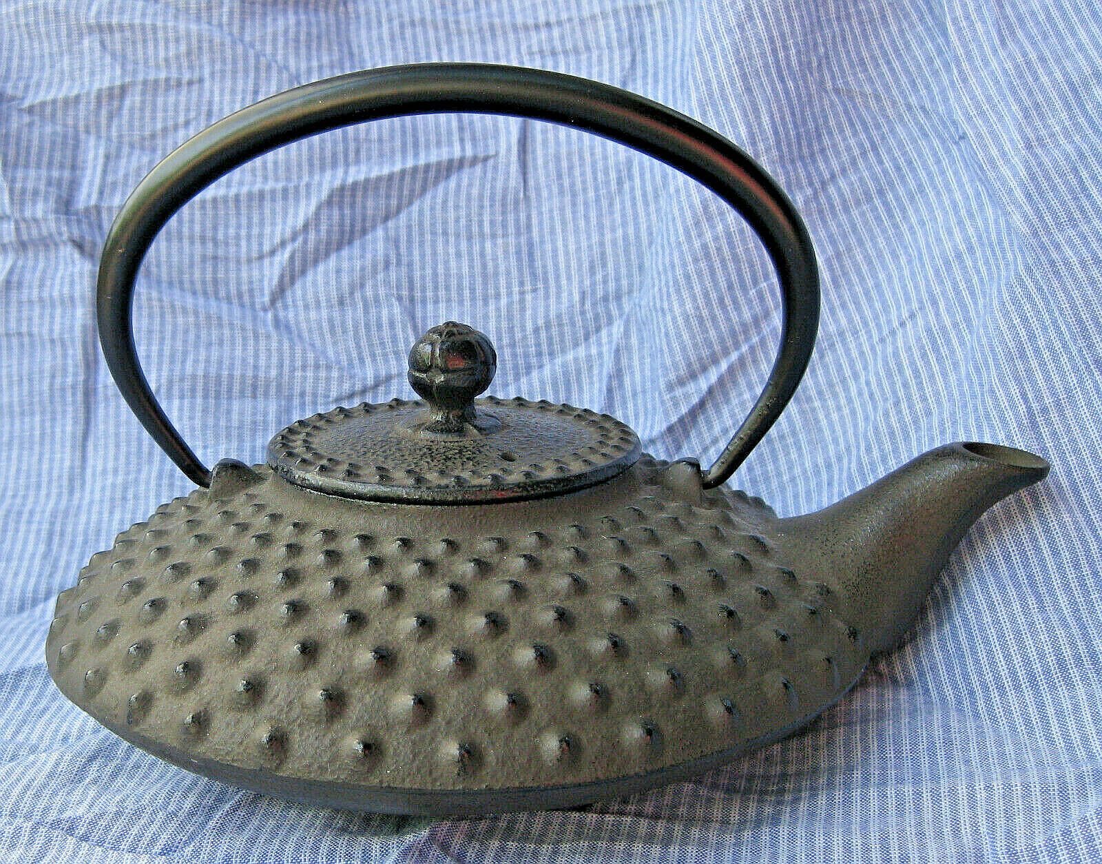 Japanese Iwachu cast iron tetsu kyusu (teapot) Showa period 19261989