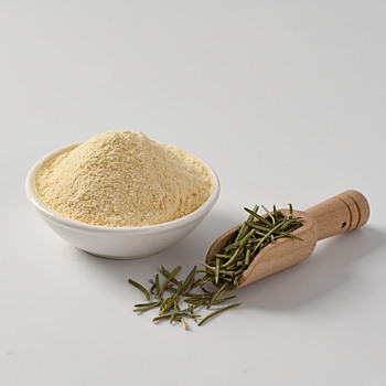 High-Quality Rosemary Extract Supplier