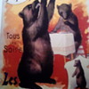 Bears-circus-poster