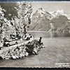 1950s Swiss Postcard – Axenstrasse at Lake Lucerne – Mailed to USA with Helvetia Stamp