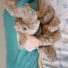Plush stuffed elephant
