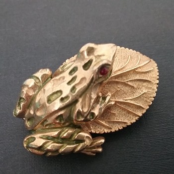 Florenza frog  - Animals