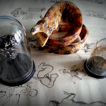 Meteorite, moray & Siberian mammoth hair - Animals