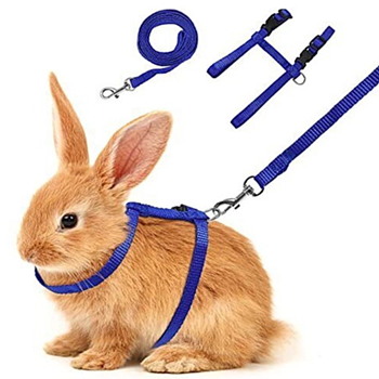 Rabbit Harnesses and Leashes