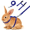 Rabbit Harnesses and Leashes