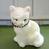 Fenton white cat