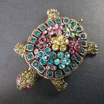 Heidi Daus turtle  - Animals