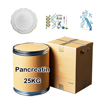 Chinese Manufacturer Supply Pancreatin CAS 8049-47-6 with best quality Wholesale & Bulk