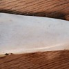 Antique bone or Ivory piece 