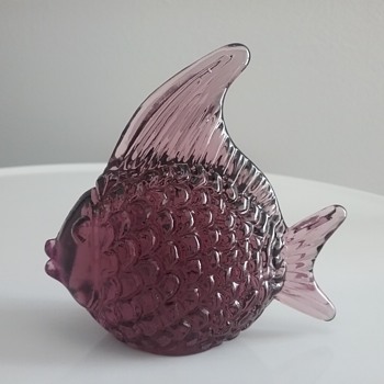 Silvestri Glass fish - Animals
