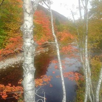 Fall Colours On The Cabot Trail - Photographs