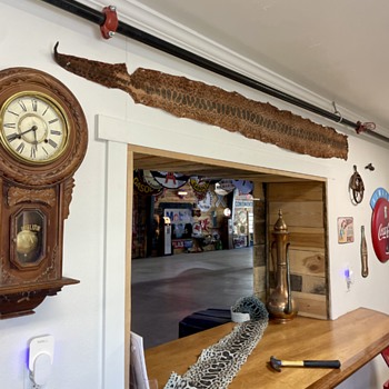 Anaconda in the kitchen?  - Animals