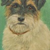 Antique Maud Mary Turner Jack Russell Terrier Oil Painting Portrait 