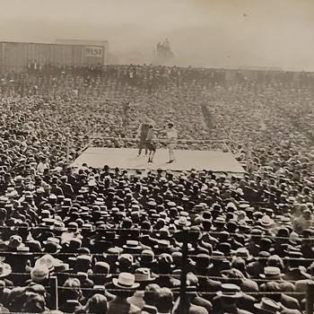 Boxing match? - Photographs