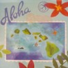 Aloha Hawaii trays