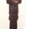 African  Walking Stick? 