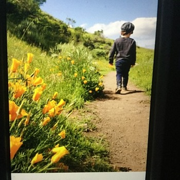 SOCIAL DISTANCING...california style! - Photographs